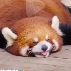开 开心 心