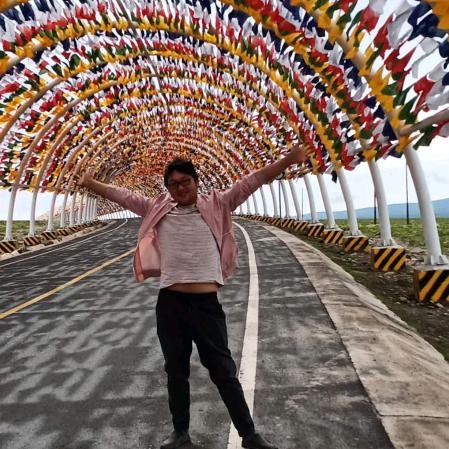 北方的墙我撞了