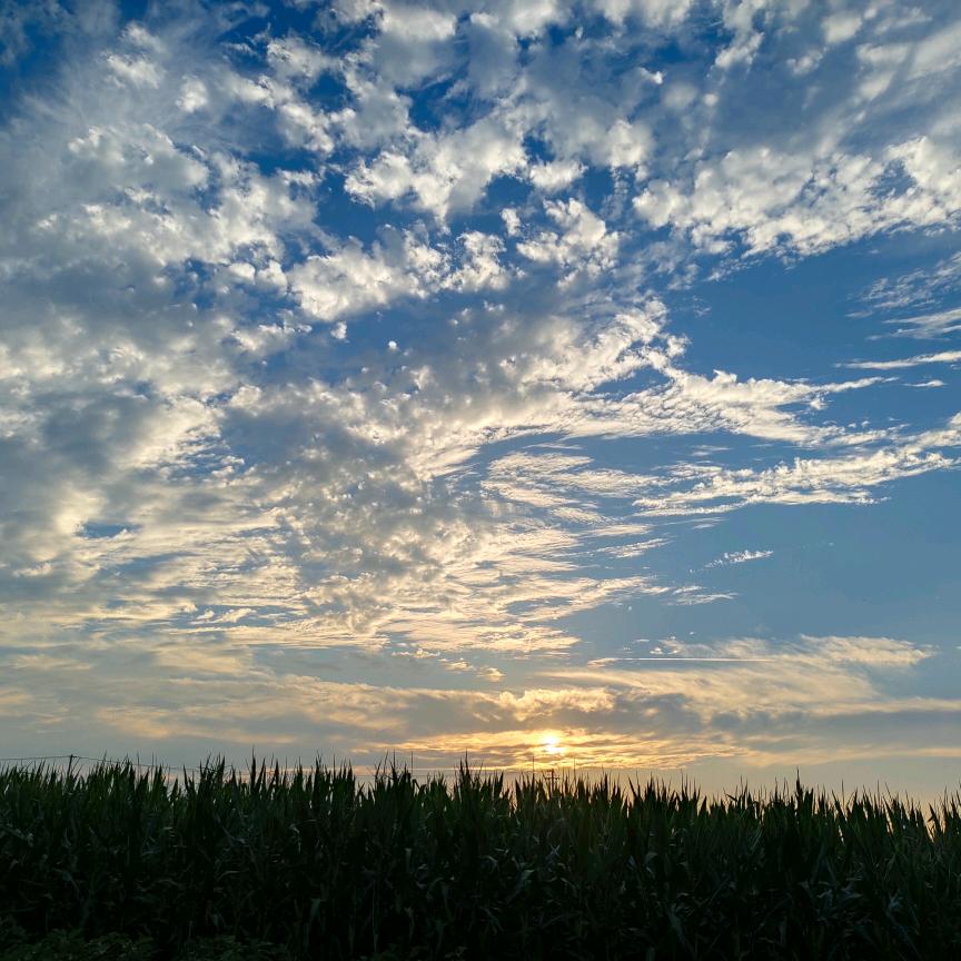 🐉 ঞ卓有🦅程效꧔ꦿ້໌ᮨ࿐