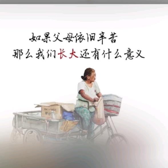 五台山小董—旅游咨询