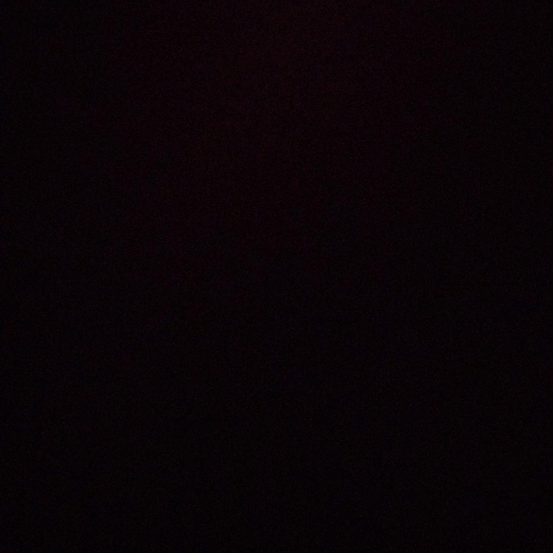 石榴金兔