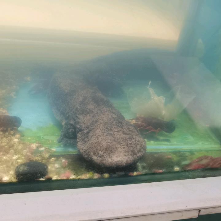 尘缘若梦