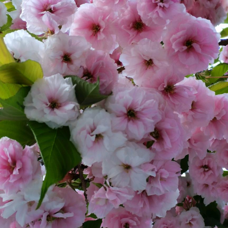 王姐的快乐生活