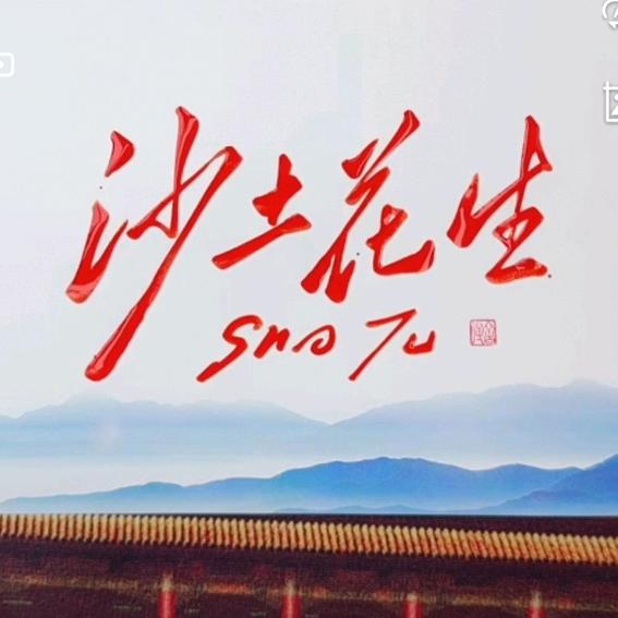 沙土花生user523012966290