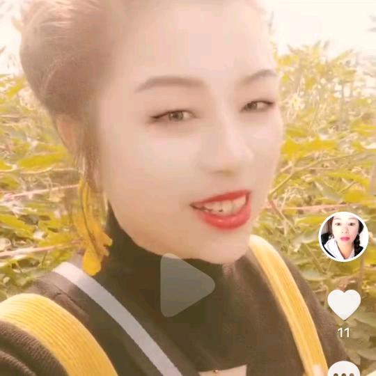 洪姐媒婆