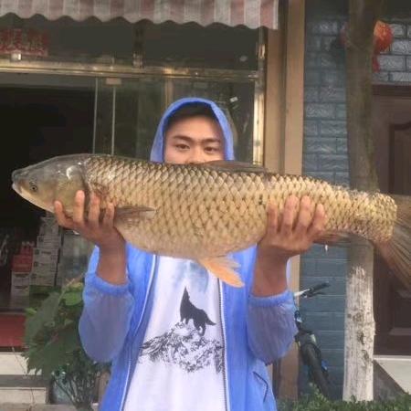 卖河沙 石粉的小刘