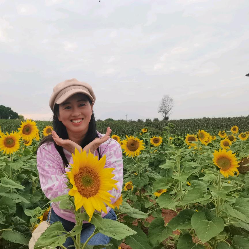 放飞（去哪玩）