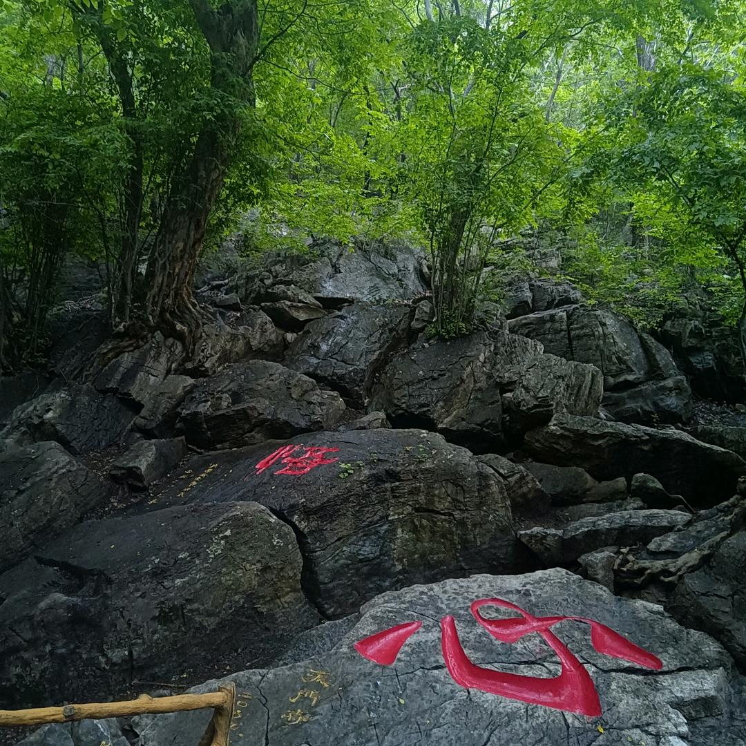 用户342433213123雲水禅心