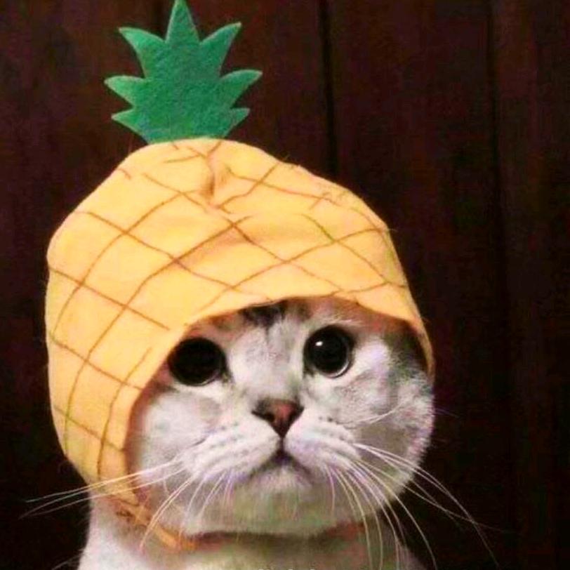小丑