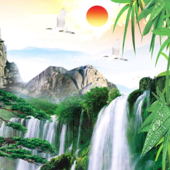 建湖孙成忠