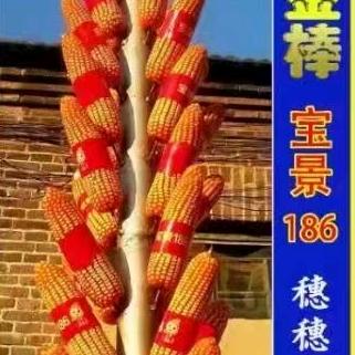 丰收传奇®