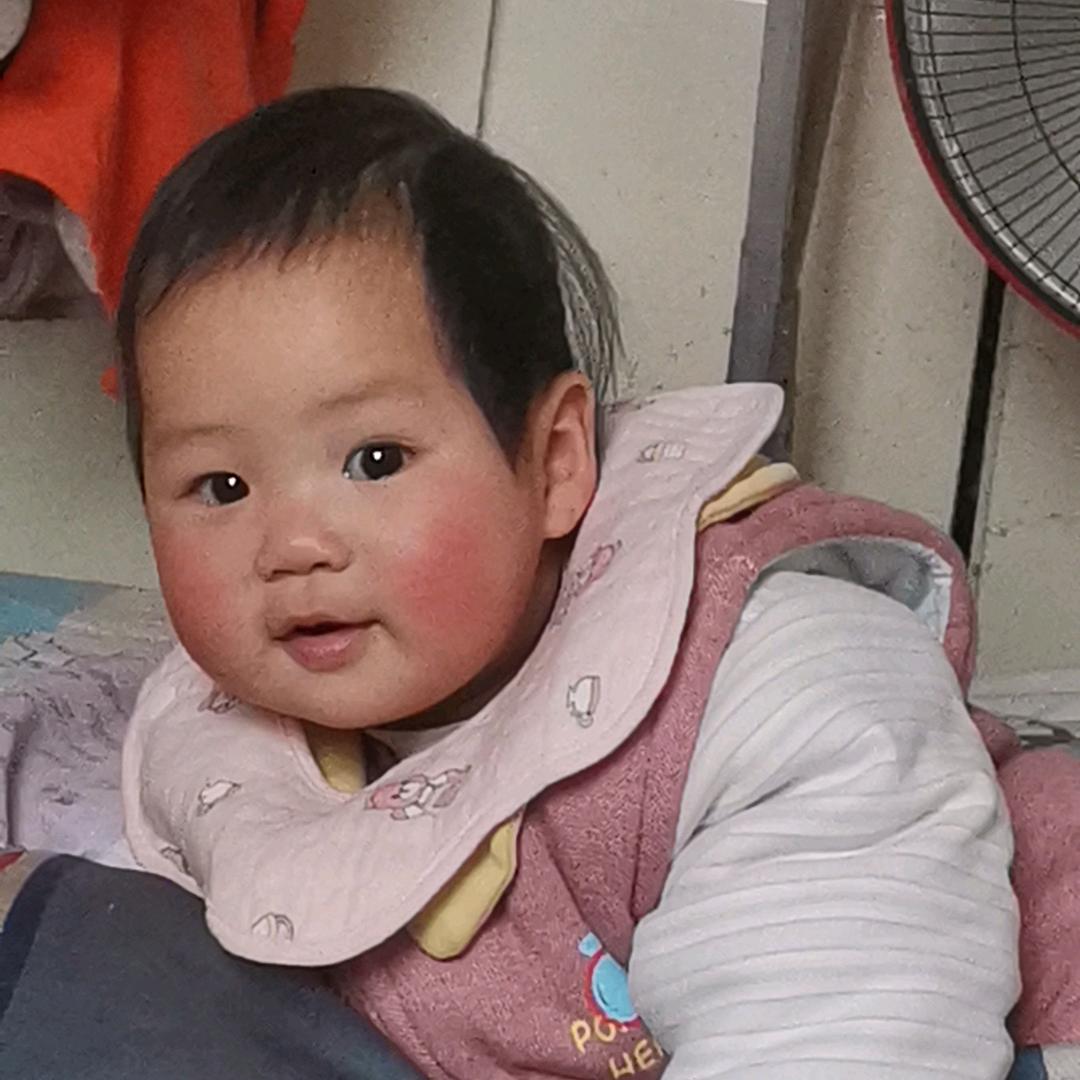 小武！！专业伐树清障