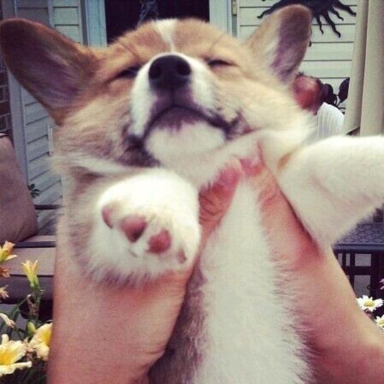 八方来财前程似锦万事胜意平安喜乐