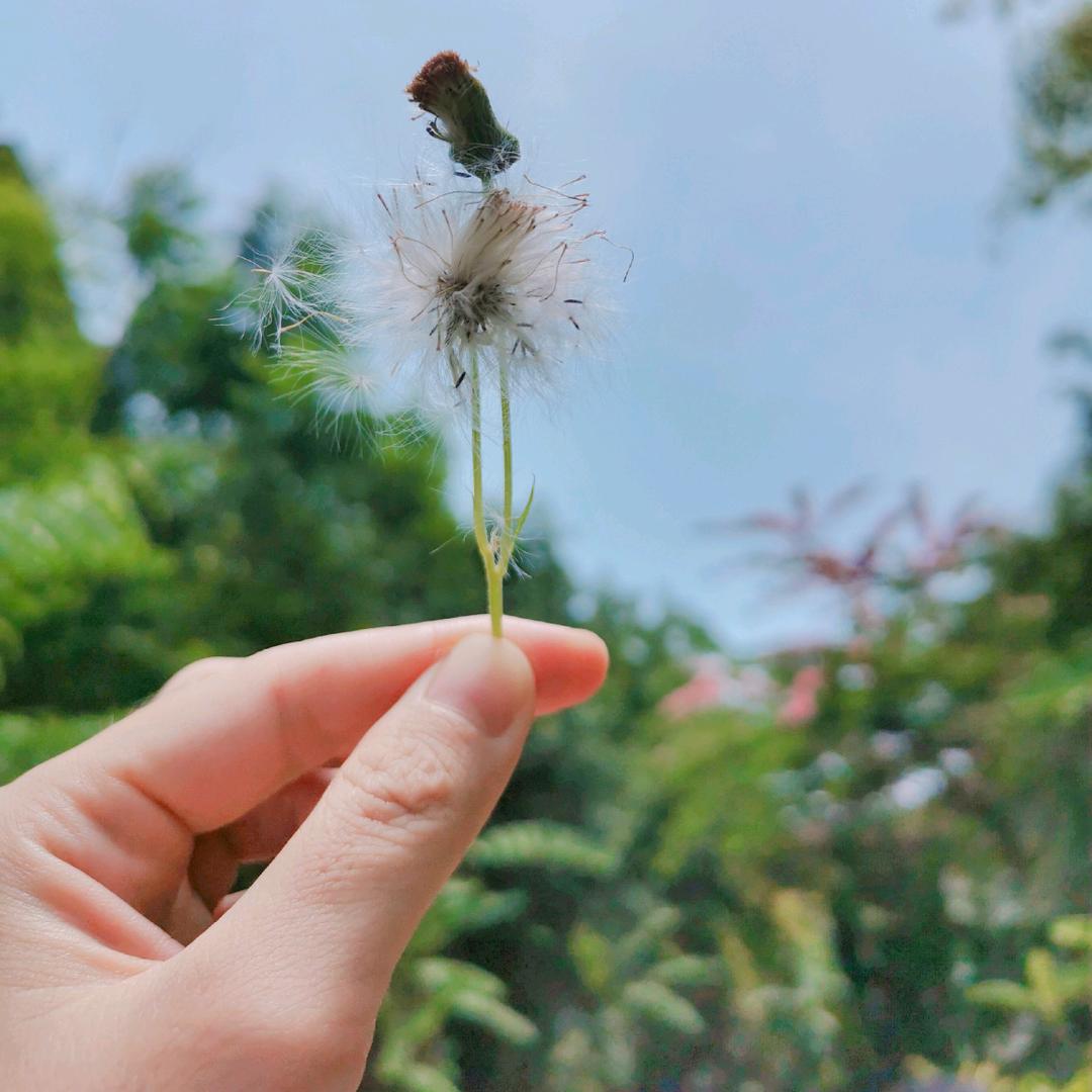 小乐宝成长日记🍭