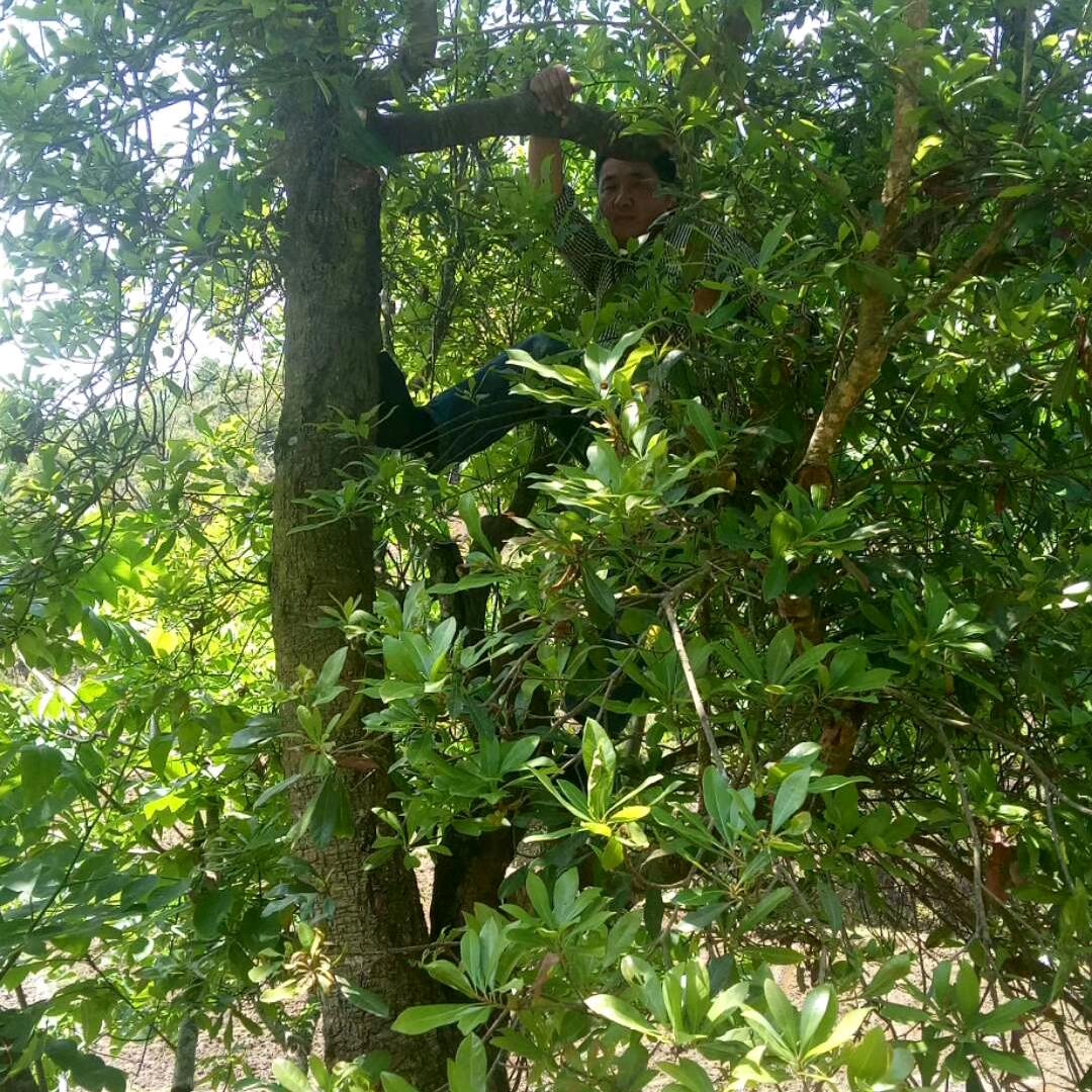 哥虽然不帅，却过的潇洒