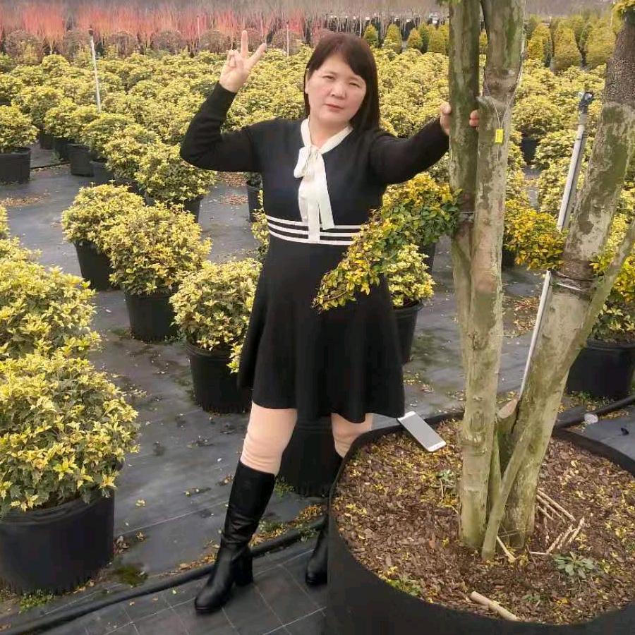 未来的梦想