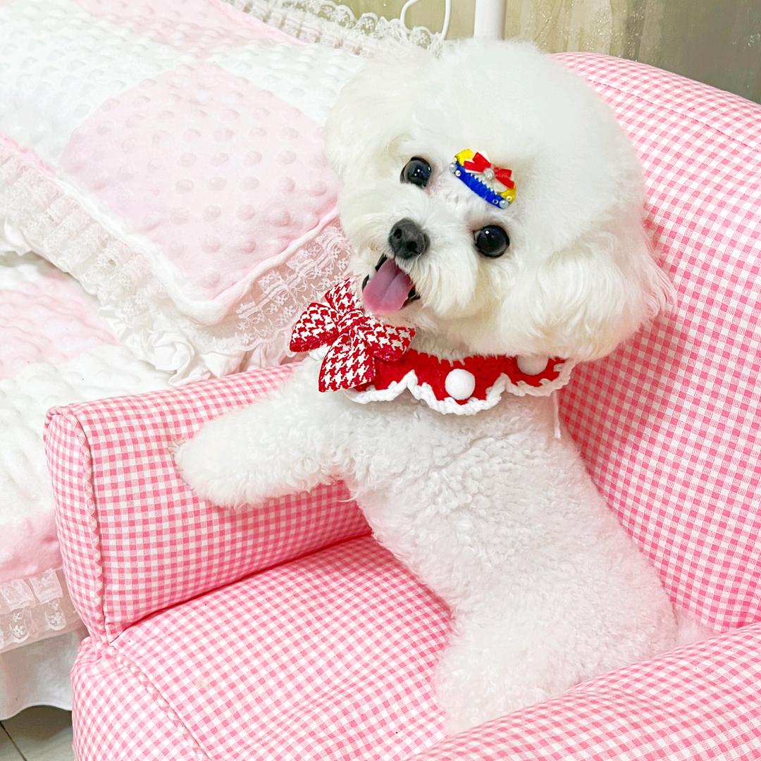 糖果儿🍬@抖音