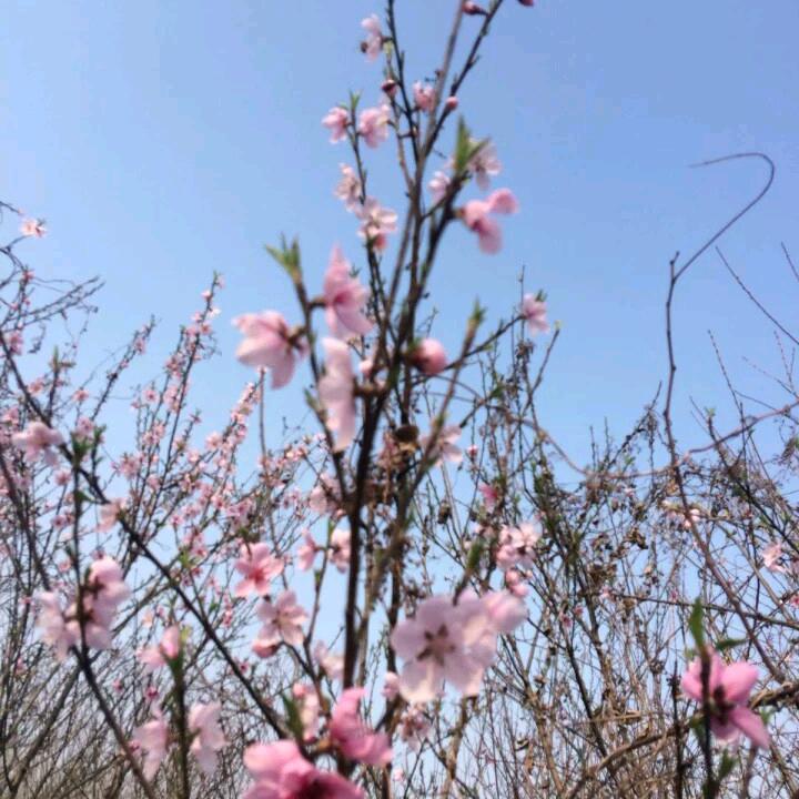 李曾好