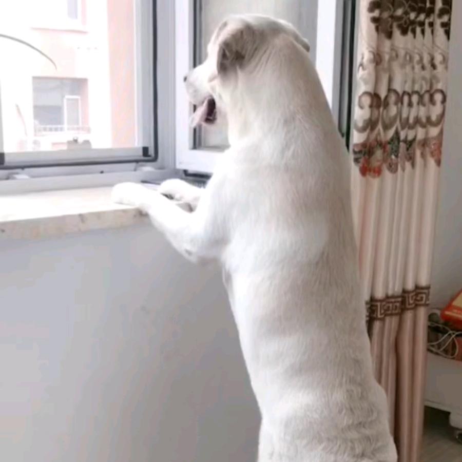 暖日