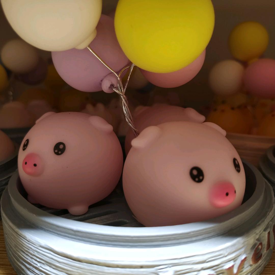 张小懒🐷