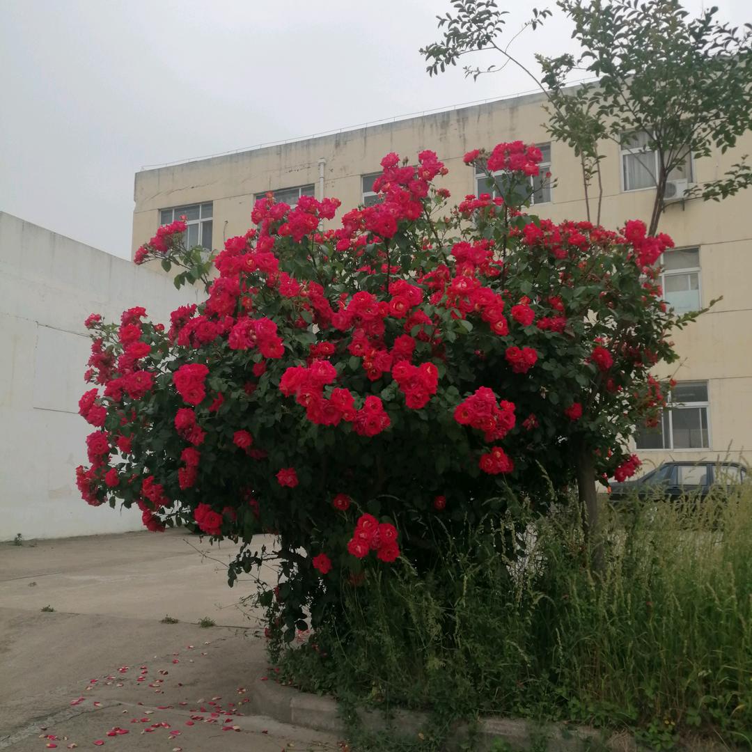 有时候人活的真累