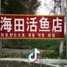 海田水产。主营大，小草鱼，大鲤鱼