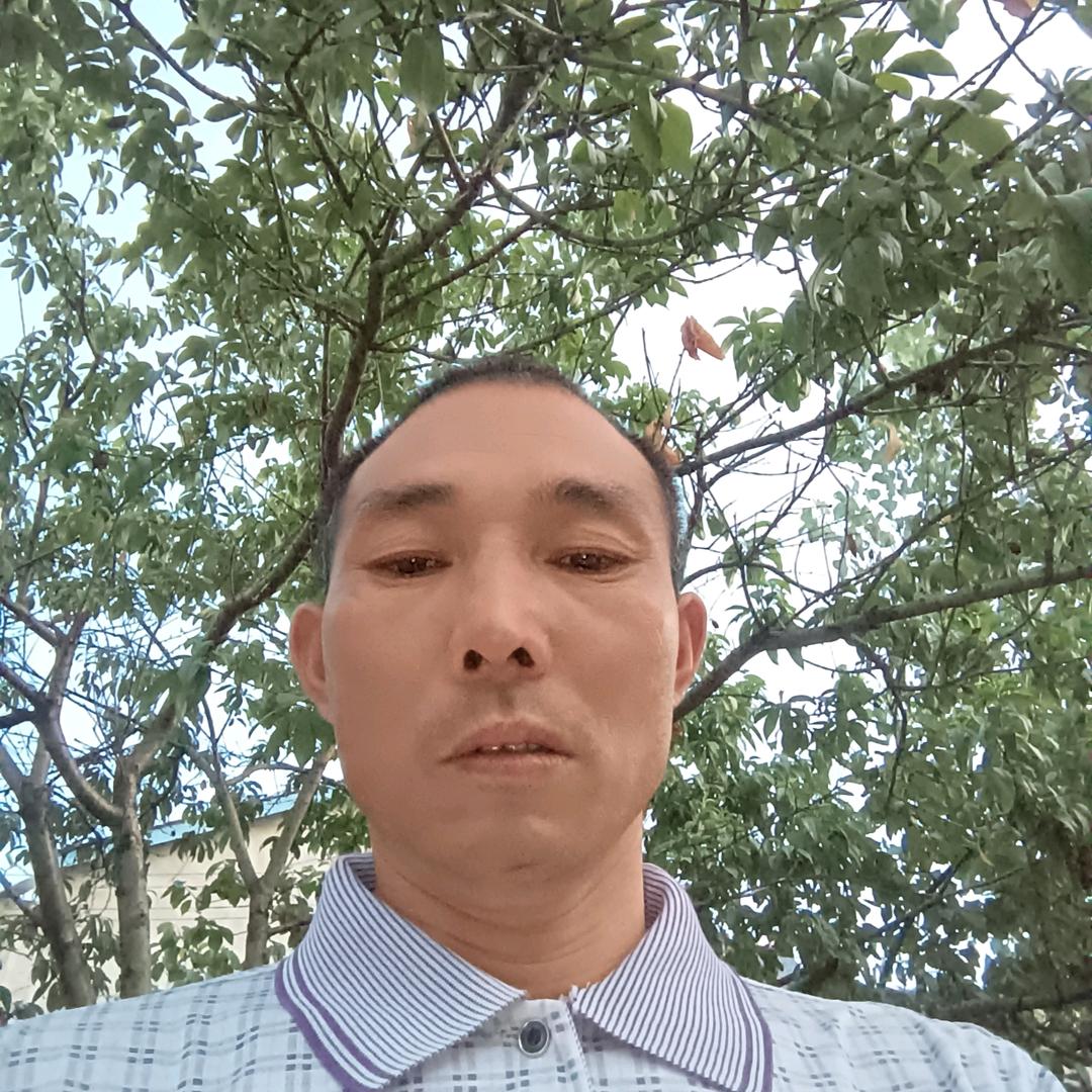 花宝哥
