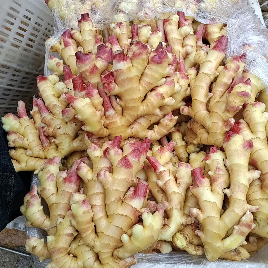 小A