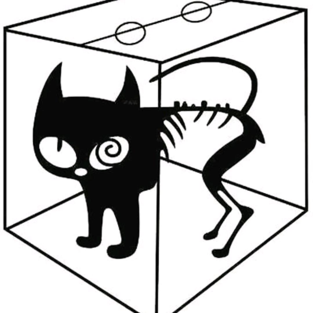 薛定谔的肥猫