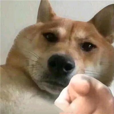 三皮很皮