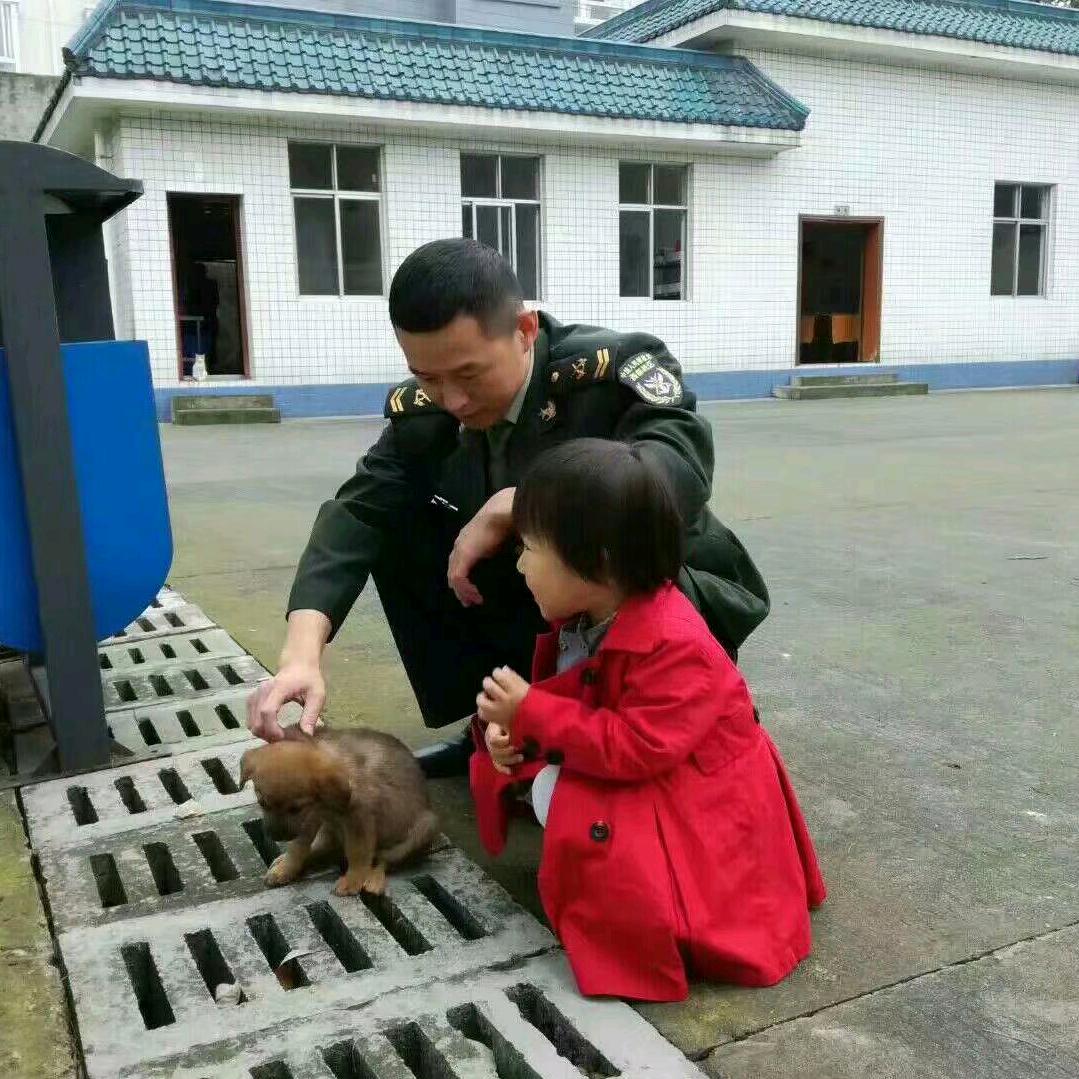 嫣然笑尽倾城