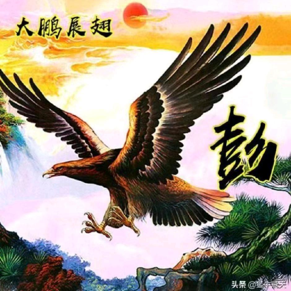 好运来