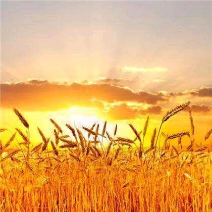 执笔，写人生！