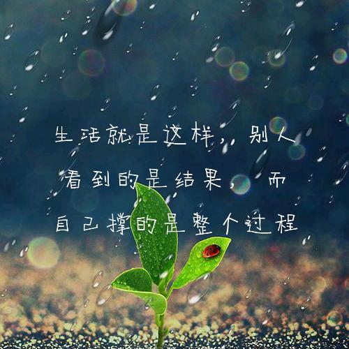 ꦿ繁星ꦿ遇海ꦿ࿐ᩚ