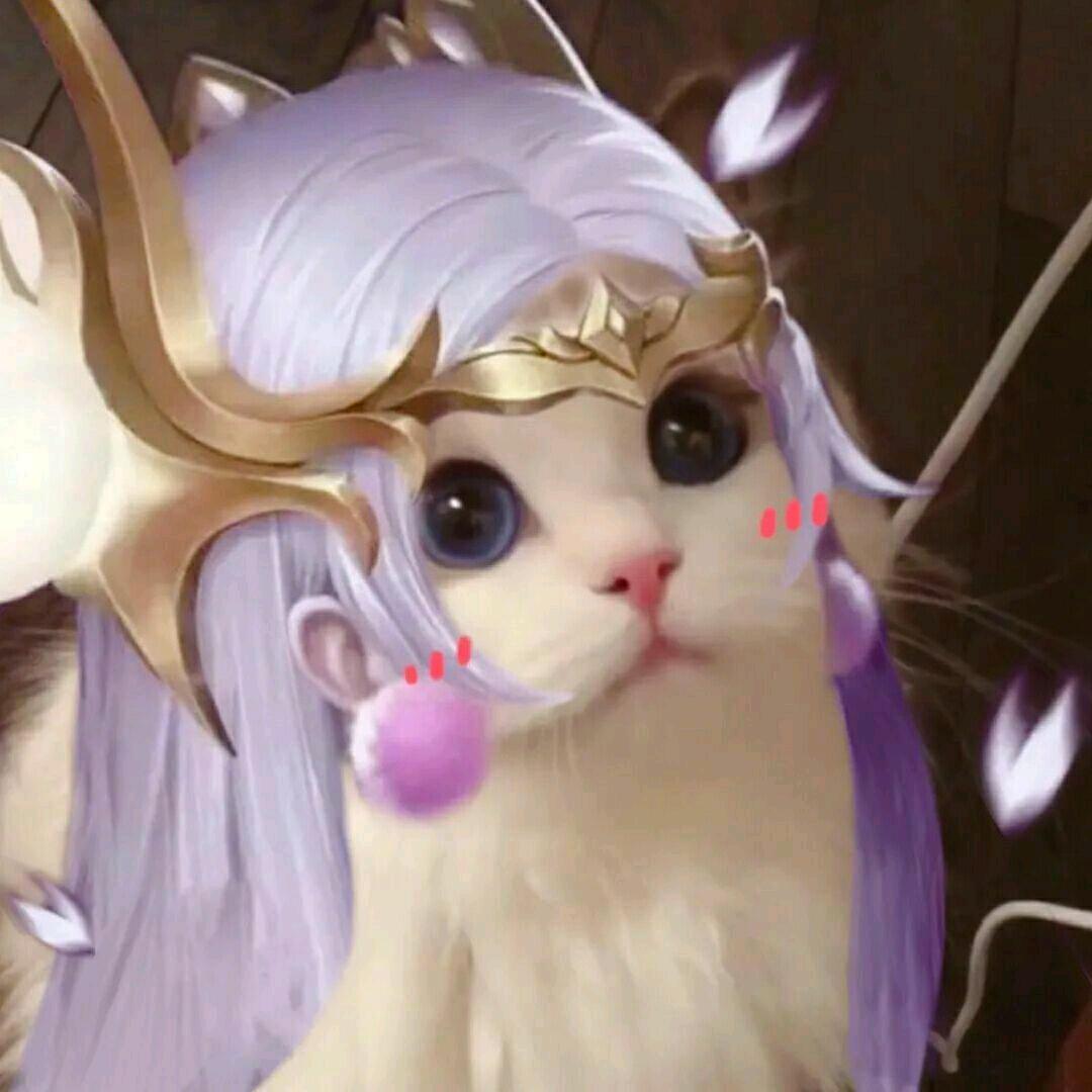 ――