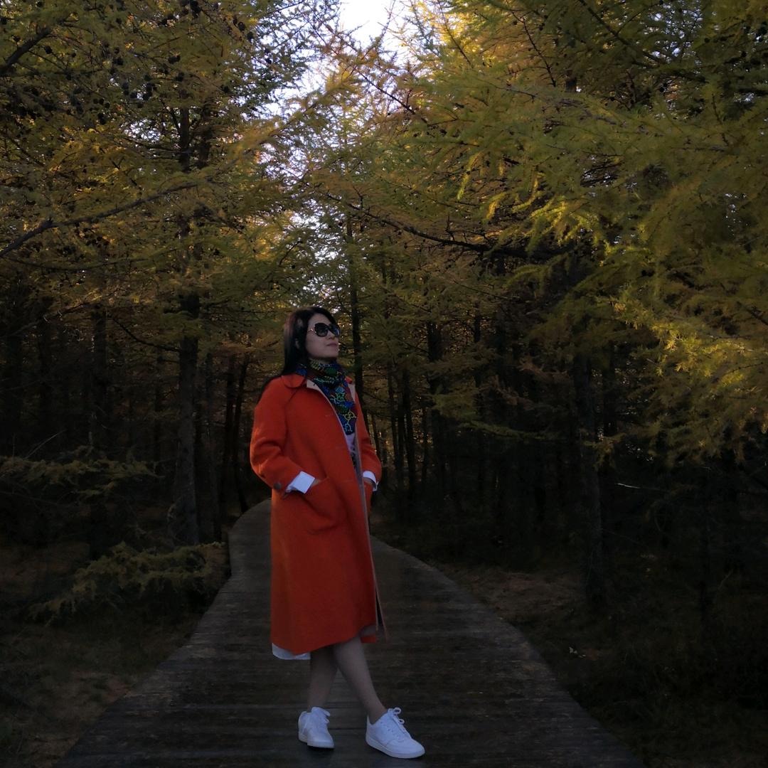晚秋