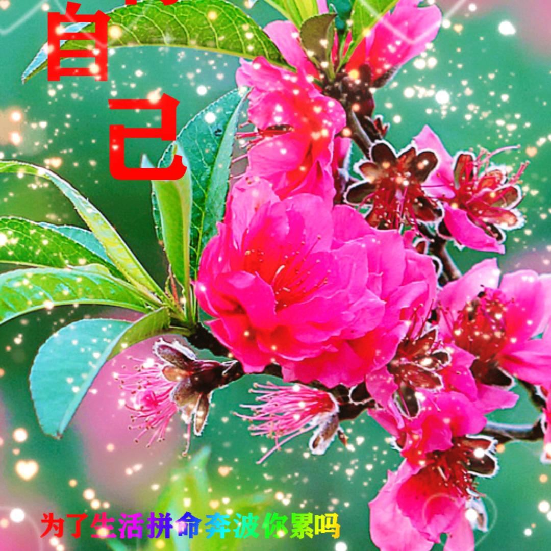 快乐英姐