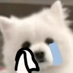 wsl