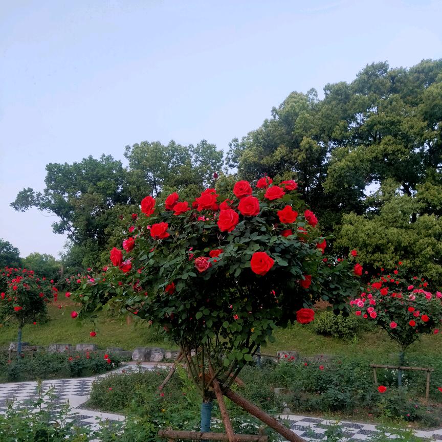 我就是我
