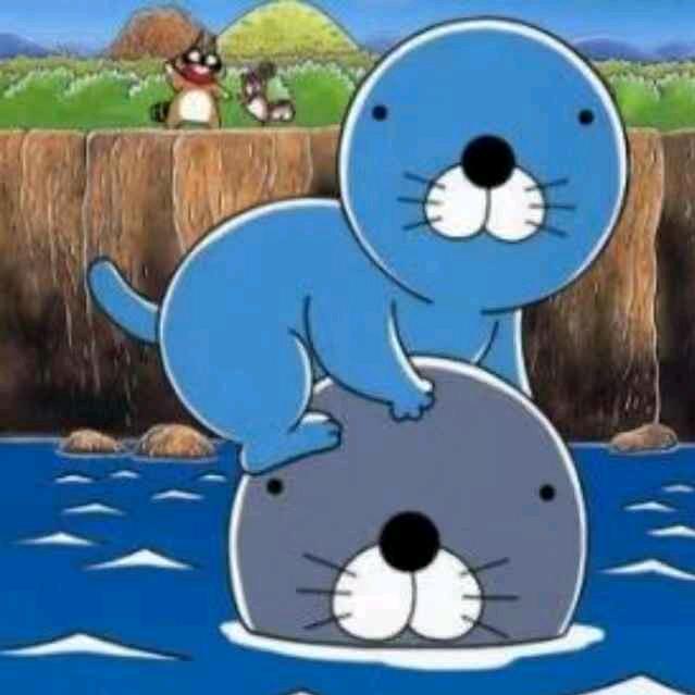 深圳珠海9295场
