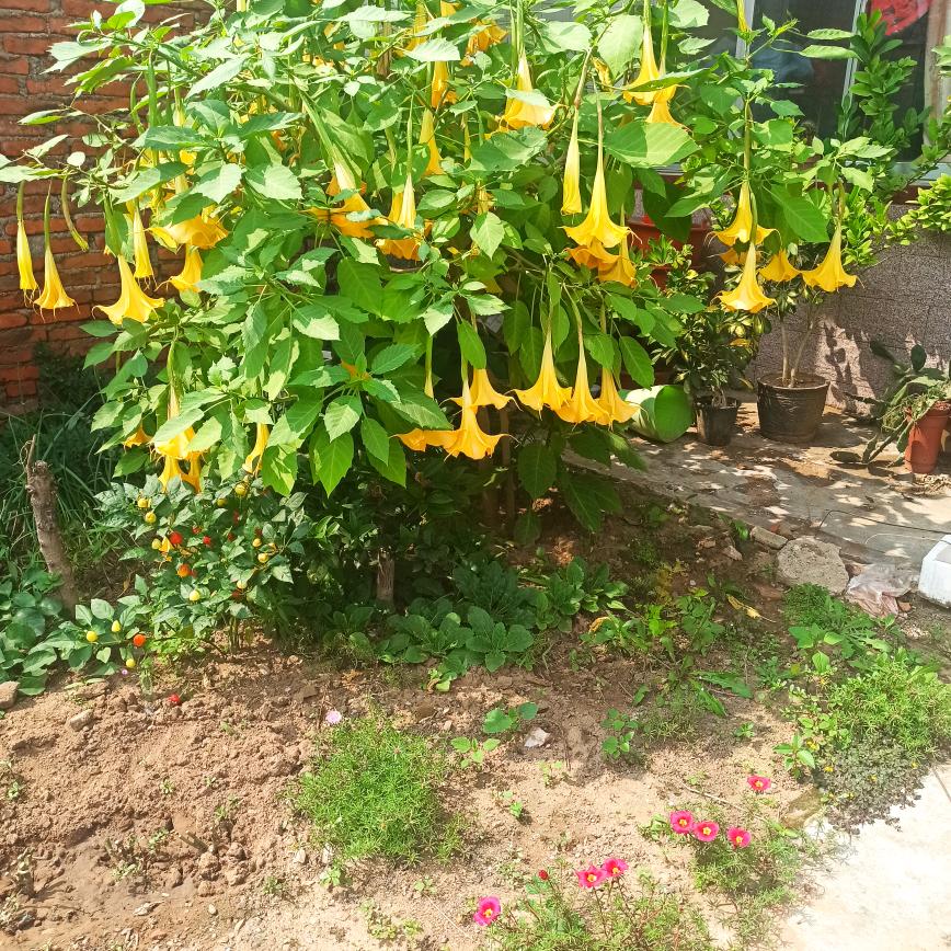 不如开心点点