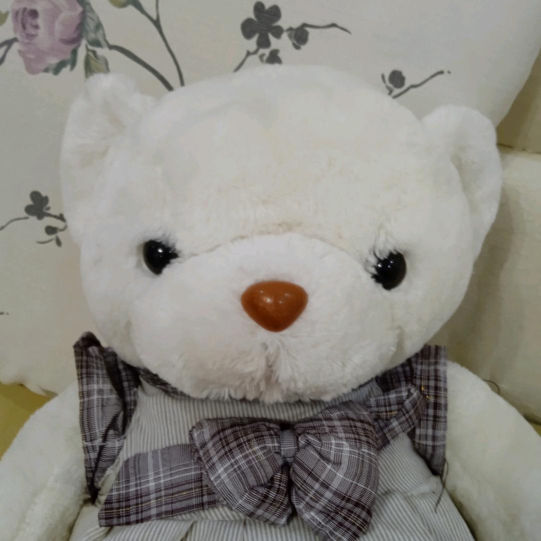 小熊软糖❤️yyds