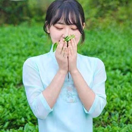 安定区一杯茶馆服务店