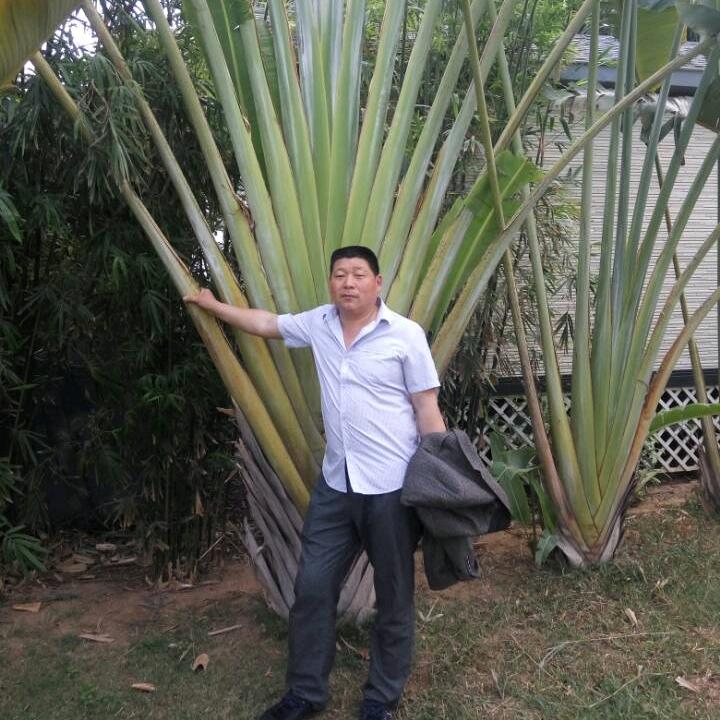 木模铝模老潘团队