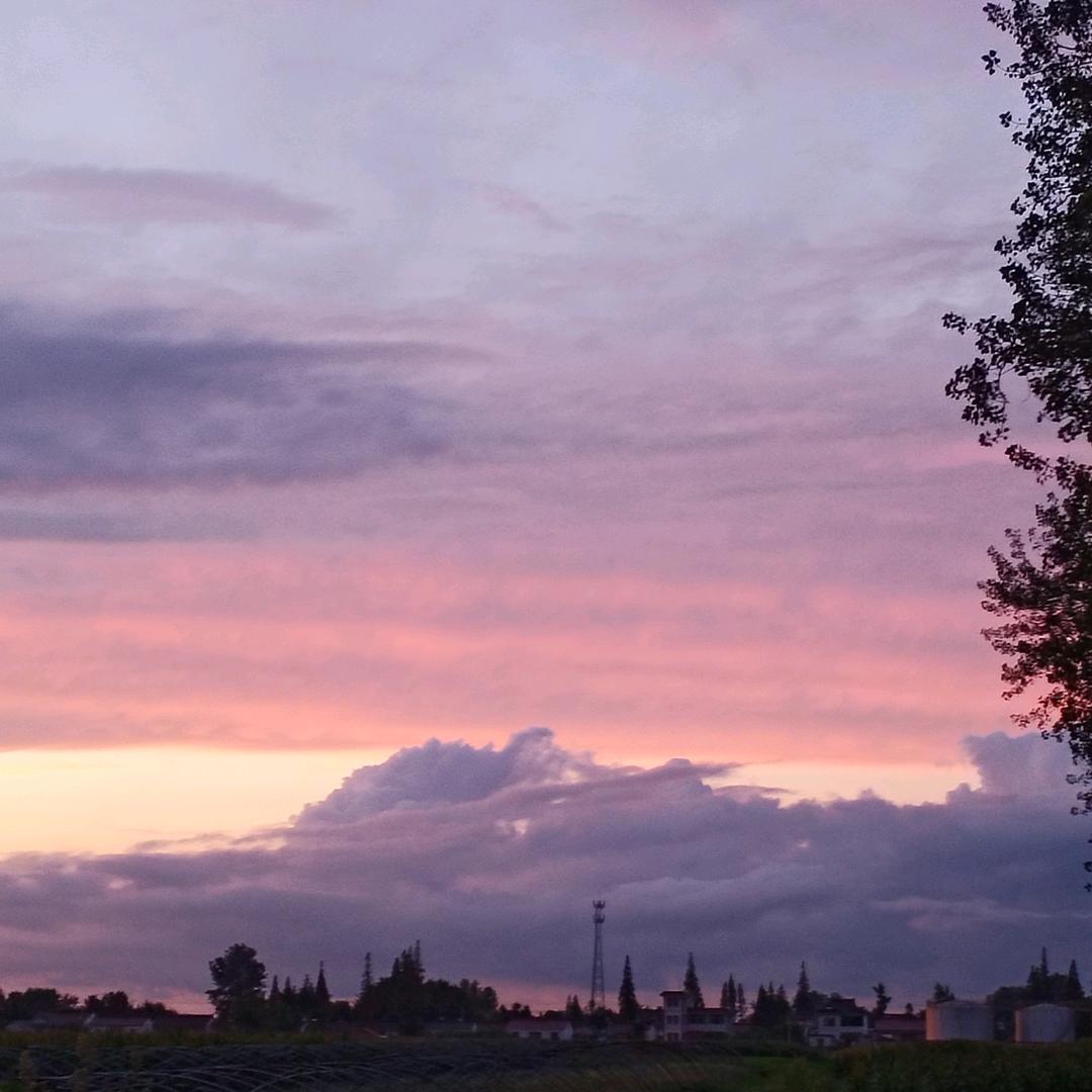 未来更美好@🐺