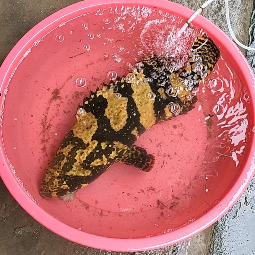 青春无悔