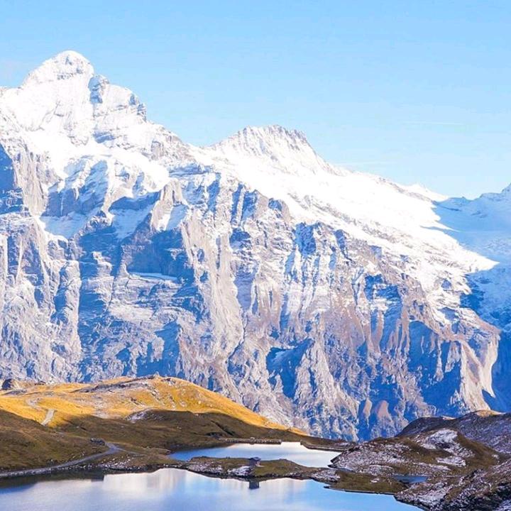 张姐（首播筹备中）