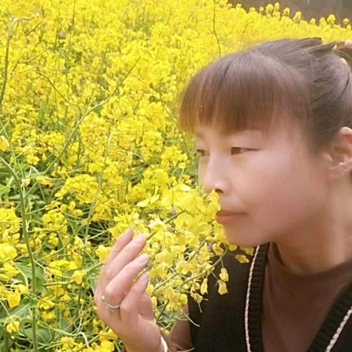 奋斗小鸟