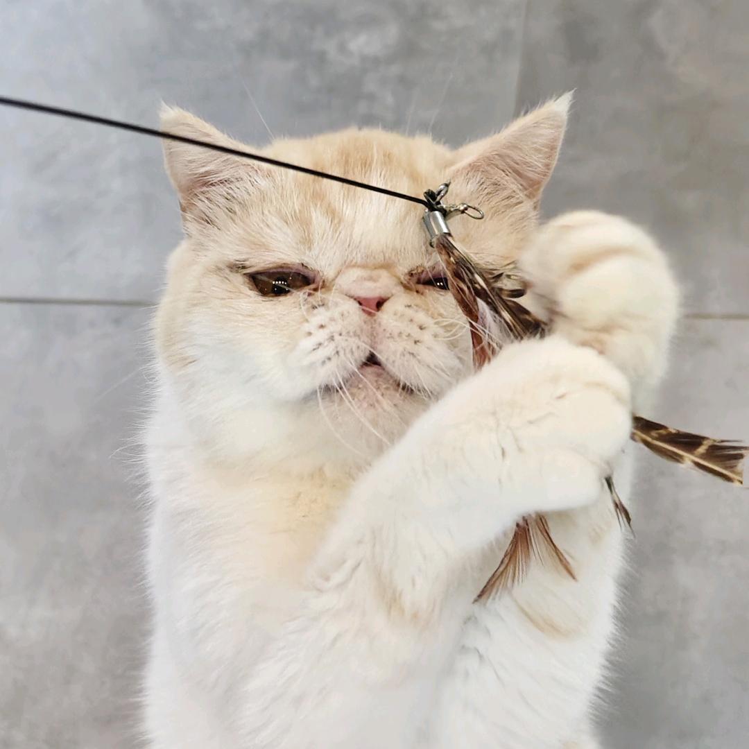 何大拿🤏