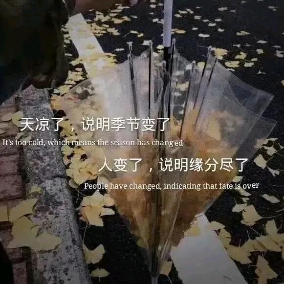 回来的亦不再如初〃
